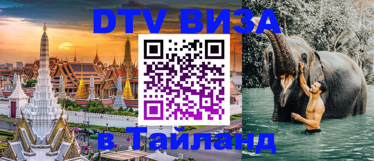 Сколько стоит DTV виза — актуальные цены, оформление даже без документов - 05.10.2025 
